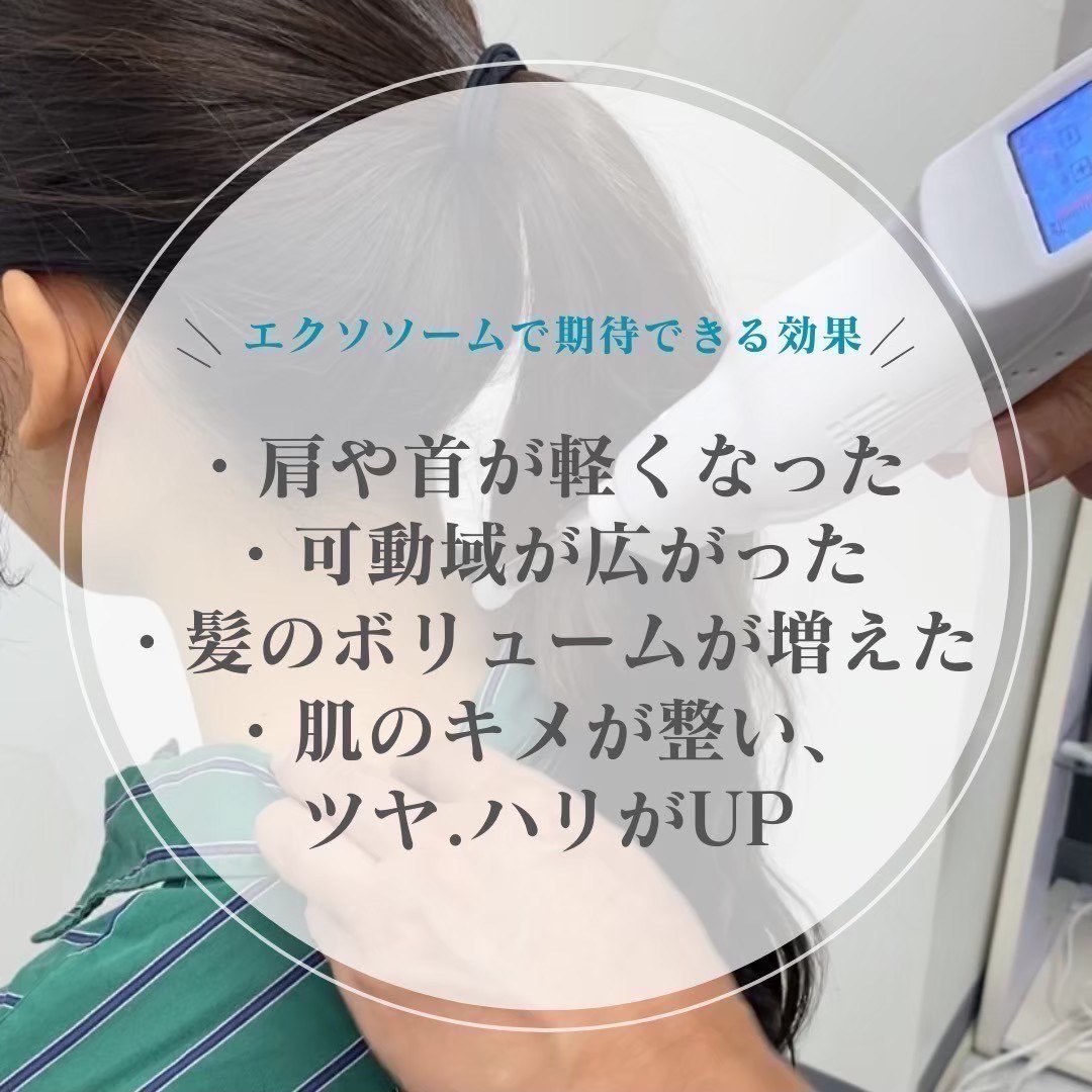 sample-02